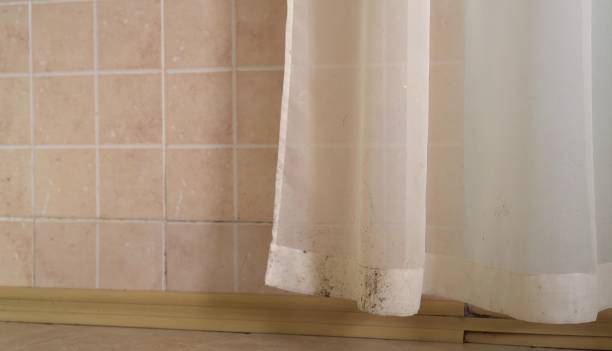Best Commercial Mold Inspection  in Hendron, KY
