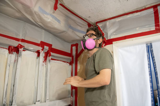 Forensic Mold Investigation in Hendron, KY