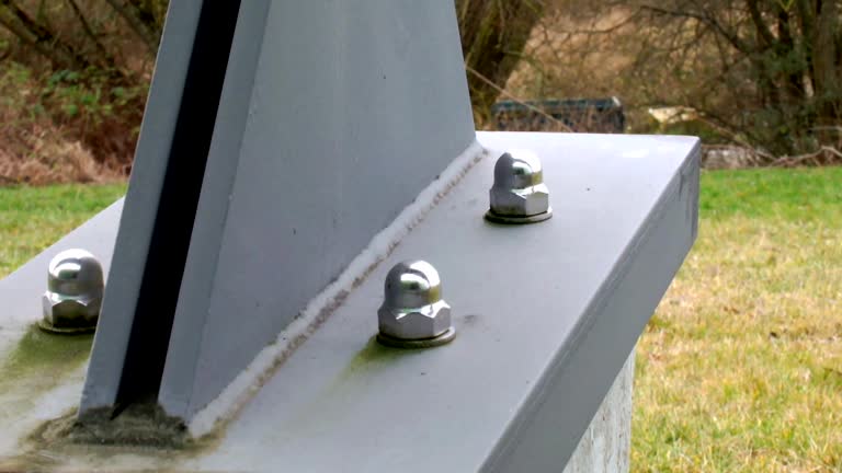 Trusted Hendron, KY Mold Removal Experts