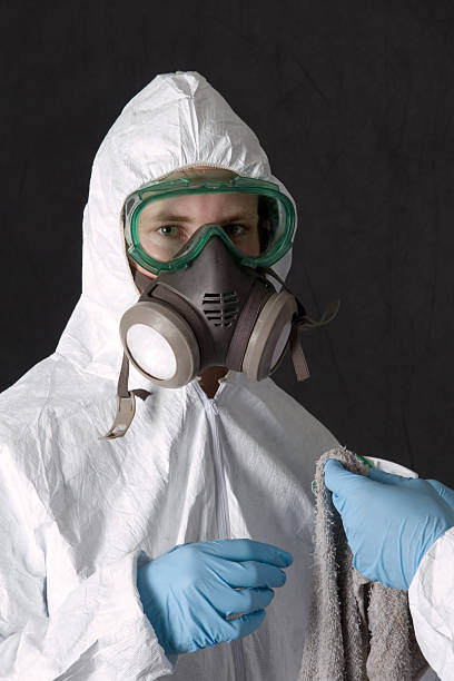 Best Biohazard Mold Removal  in Hendron, KY